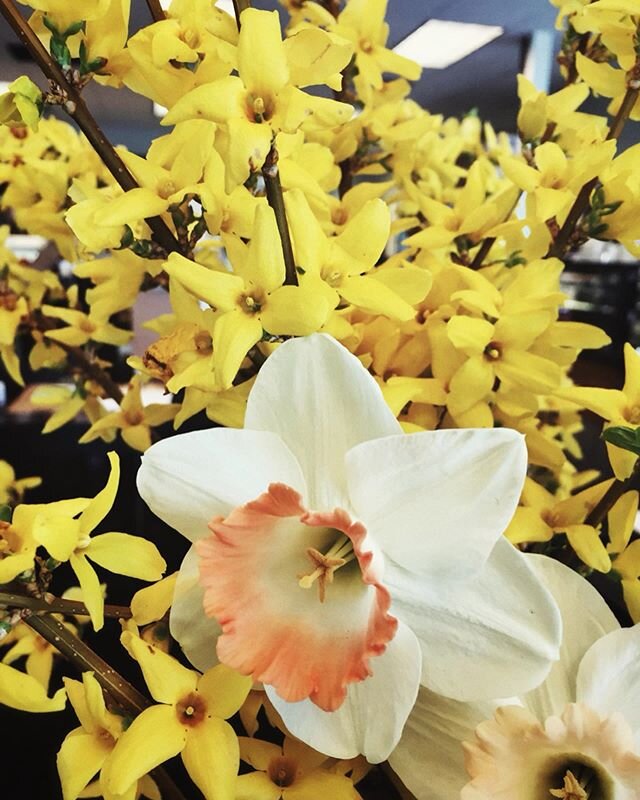 Feeling these spring color ~vibes~ at the market today .
.
.
.
.
#sopo #spring #vibing #fleurs #shoplocal #eatlocal #blackkettlefarm #stonecipherfarm #solocucinamarket
